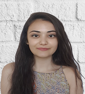 Zeynep Ergül