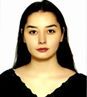 Havva Bircan
