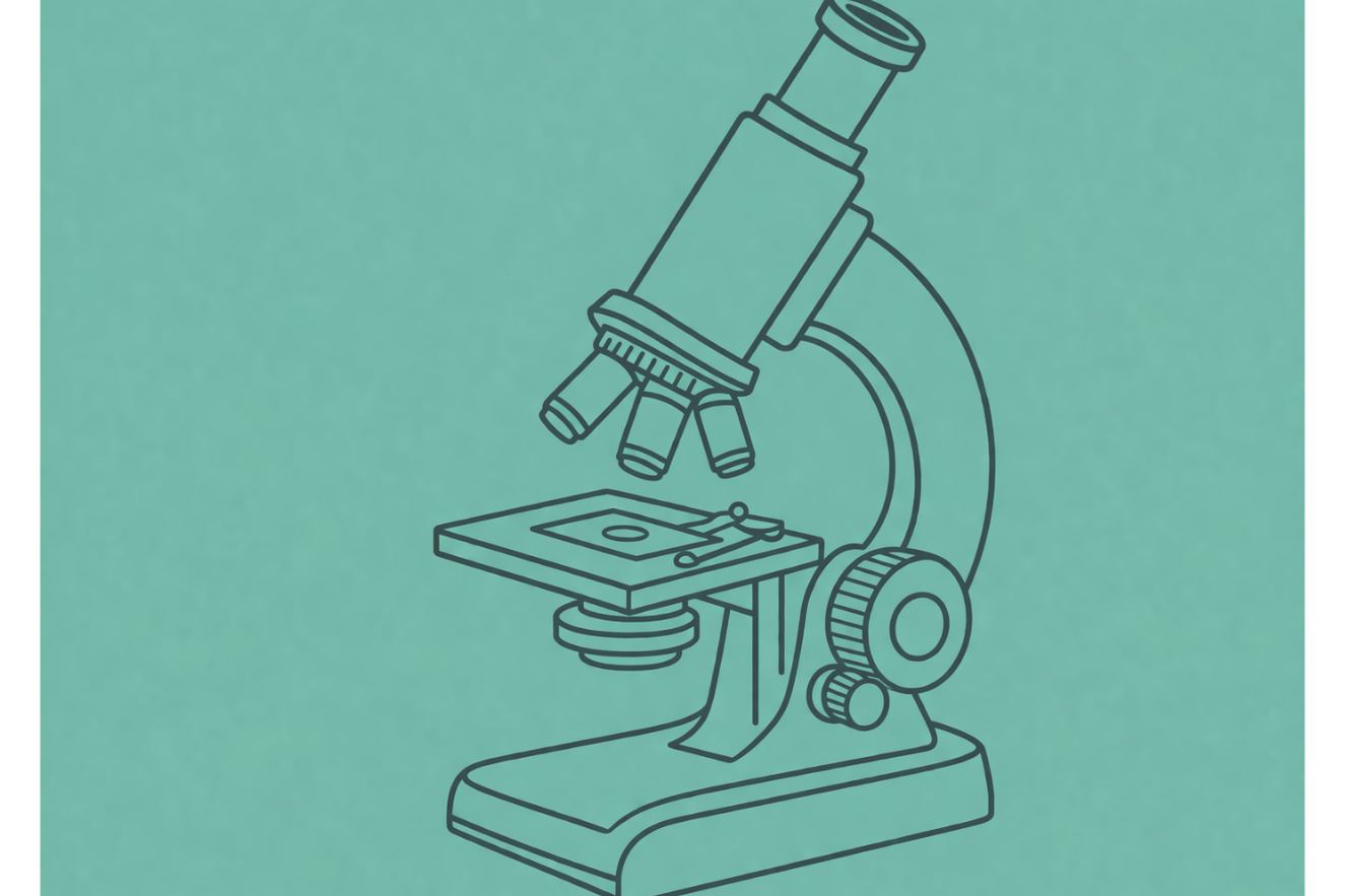 New Term will Start for SDSs with KKDIK (Turkish REACH)