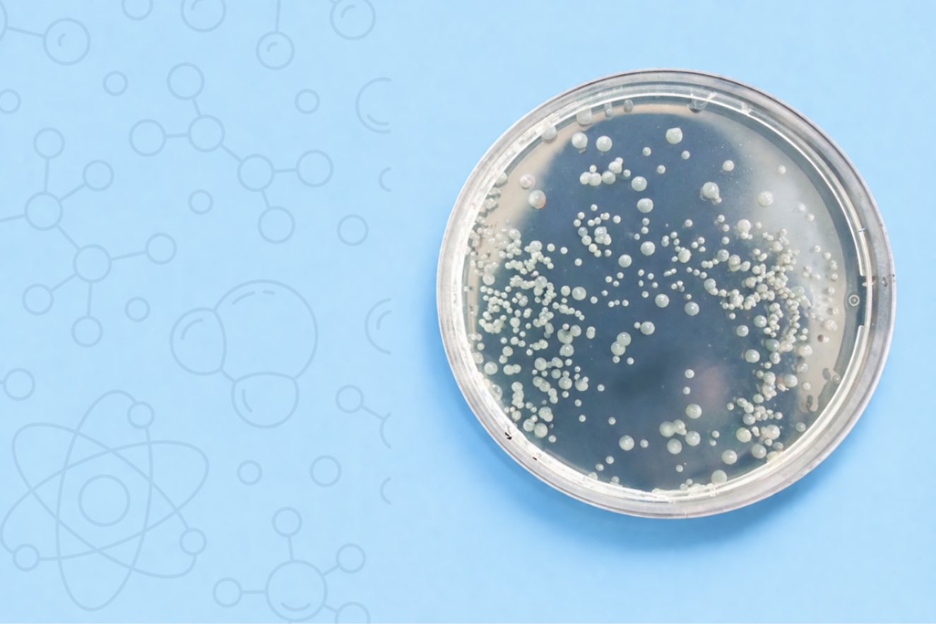 About the Use of PT2 and PT4 Biocidal Products in the Legionella Challenge